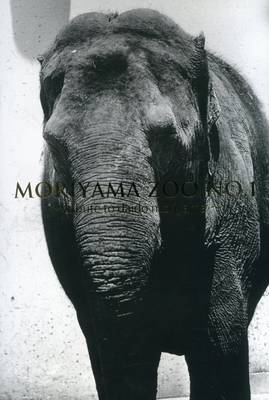 Daido Moriyama: Moriyama Zoo No. 1 Tribute No. 1