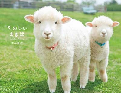 Makiba: Cute Farm Animals (Paperback)