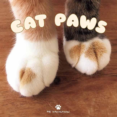 Cat Paws (Hardback)