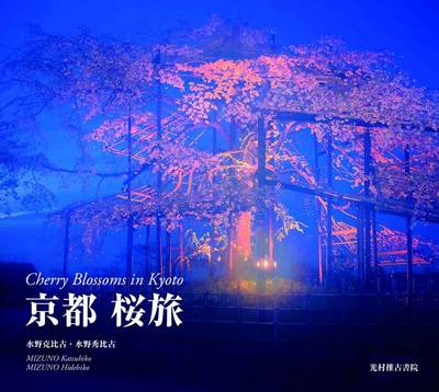 Cherry Blossoms in Kyoto (Paperback)