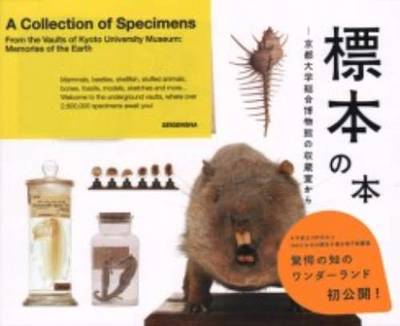 A Collection of Specimens from the Vaults of Kyoto University Museum: Memories of the Earth (Paperback)