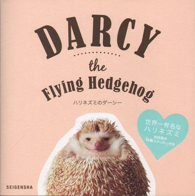 Darcy the Flying Hedgehog (Paperback)