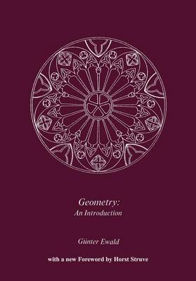 Geometry an Introduction (Paperback)