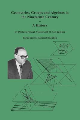 Geometries, Groups and Algebras in the Nineteenth Century - A History (Paperback)