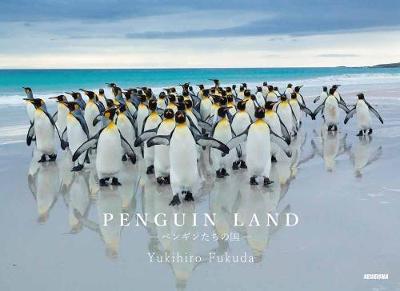 Penguin Land (Paperback)