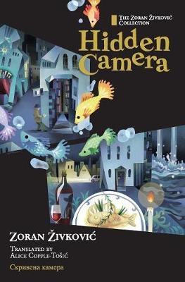 Hidden Camera (Hardback)