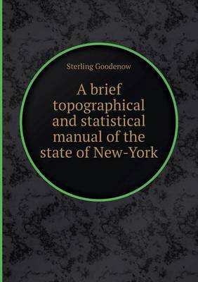 A Brief Topographical and Statistical Manual of the State of New-York (Paperback)