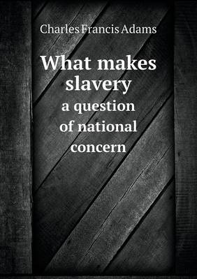 What Makes Slavery a Question of National Concern (Paperback)