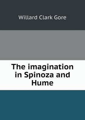 The Imagination in Spinoza and Hume (Paperback)