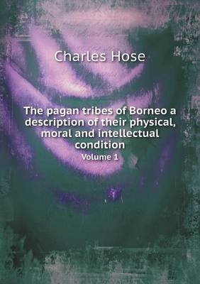 The Pagan Tribes of Borneo a Description of Their Physical, Moral and Intellectual Condition Volume 1 (Paperback)
