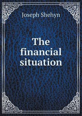 The Financial Situation (Paperback)