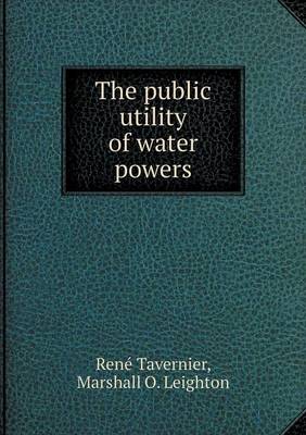 The Public Utility of Water Powers (Paperback)