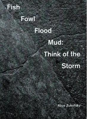 Fish Fowl Flood Mud: Think of the Storm (Paperback)