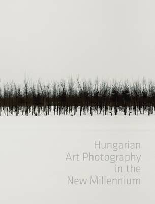 Hungarian Art Photography in the New Millenium (Hardback)