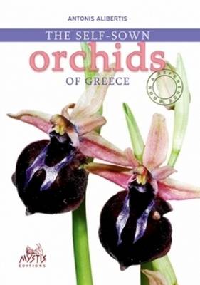 Self-Sown Orchids of Greece (Paperback)