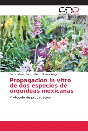 Propagacion in vitro de dos especies de orquideas mexicanas by Carlos  Alberto Lopez Perez, Monica Rangel | Waterstones