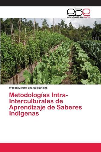 Metodologias Intra-Interculturales de Aprendizaje de Saberes Indigenas (Paperback)