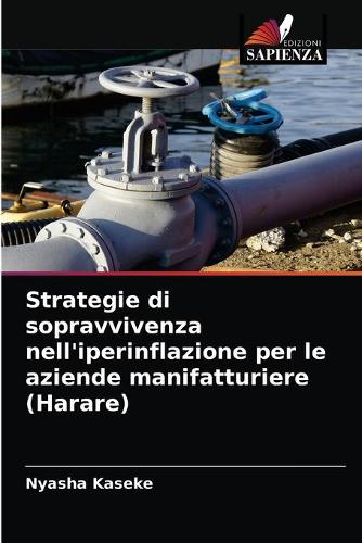 Strategie di sopravvivenza nell'iperinflazione per le aziende manifatturiere (Harare) (Paperback)