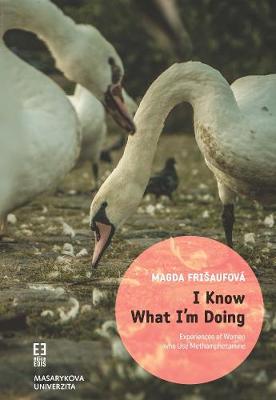 I know what I'm doing 2016: EDIS: Experiences of Women who Use Methamphetamine (Paperback)