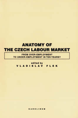Anatomy of the Czech Labour Market: From Over-employment to Under-Empoyment in Ten Years? (Paperback)
