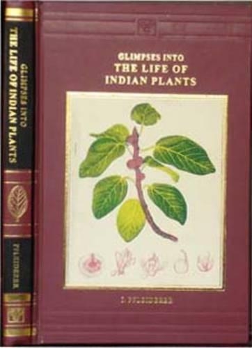 Glimpses into the Life of Indian Plants (Hardback)