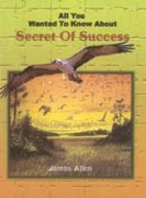 All You Wanted to Know About the Secret of Success (Paperback)