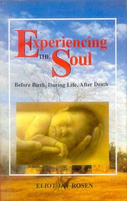 Experiencing the Soul: Before Birth, During Life, After Death (Hardback)