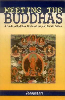 Meeting the Buddha: Meeting the Buddhas (Hardback)