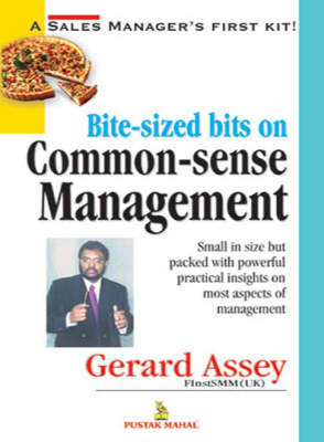 Bite Sized Bits on Common Sense Management (Paperback)