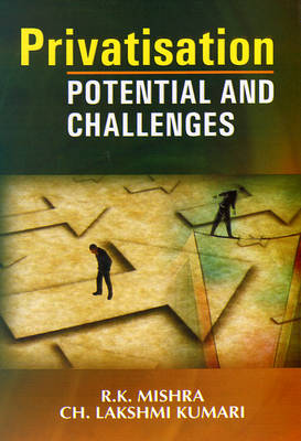 Privatisation Potential and Challenges (Hardback)