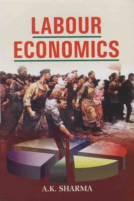 Labour Economics (Hardback)