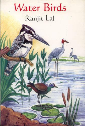 Water Birds (Paperback)