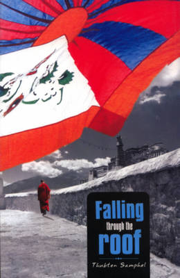 Falling Through the Roof (Paperback)