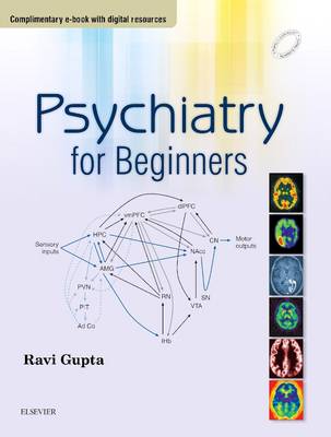 Psychiatry for Beginners (Paperback)