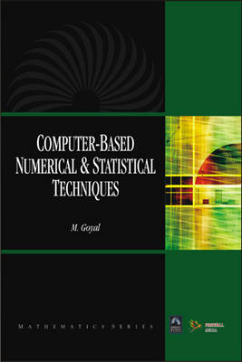 Computer Based Numerical and Statistical Techniques (Paperback)