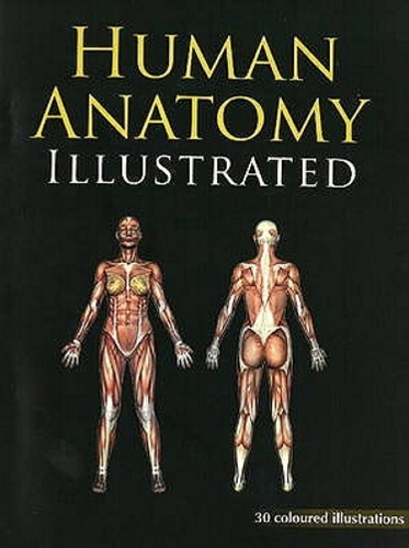 Human Anatomy Illustrated (Paperback)