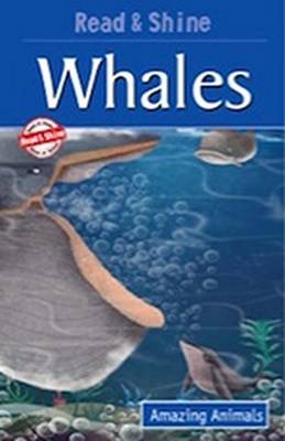 Whales (Paperback)