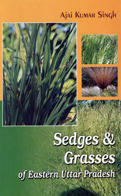 Sedges and Grasses: of Eastern Uttar Pradesh (Hardback)