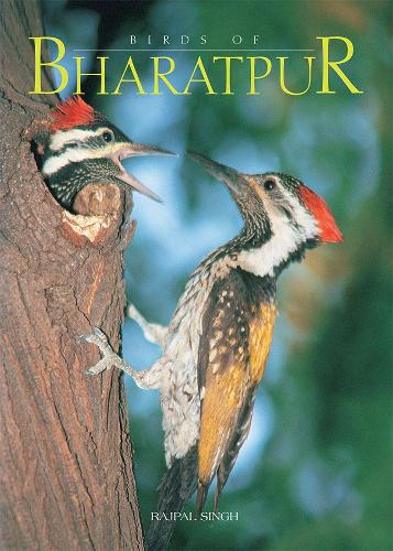 Birds of Bharatpur (Hardback)