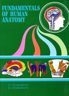 Fundamentals of Human Anatomy: Volume III (Paperback)