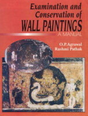The Examination and Conversation of Wall Paintings (Hardback)