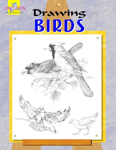 Drawing Birds (Paperback)
