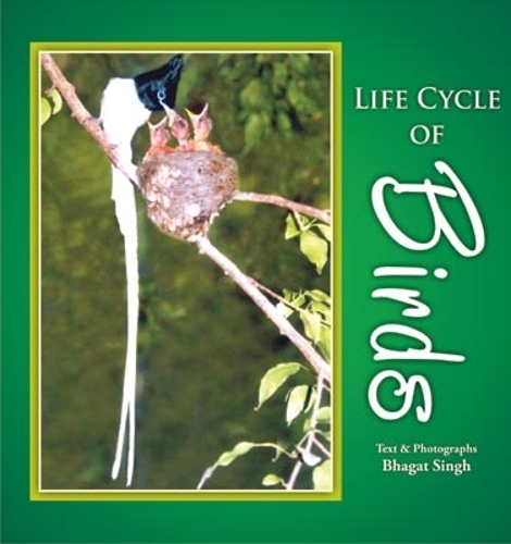 Life Cycle of Birds (Hardback)