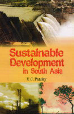 Sustainable Development in South Asia (Hardback)