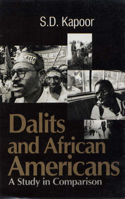 Dalits in African American (Hardback)