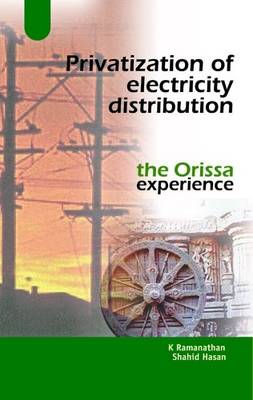 Privatization of Electricity Distribution: The Orissa Experience (Paperback)