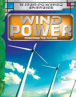 Wind Power: Key stage 3 - Future Power,Future Energy (Hardback)