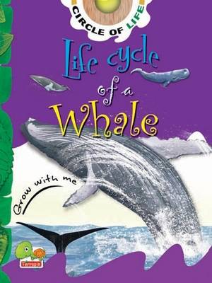 Life Cycle of a Whale: Key stage 1 - Circle of Life (Paperback)