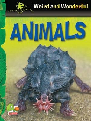 Animals: Key stage 1 - Weird & Wonderful S. (Paperback)