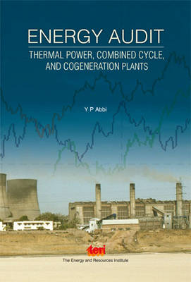 Energy Audit: Thermal Power, Combined Cycle, and Cogeneration Plants (Hardback)
